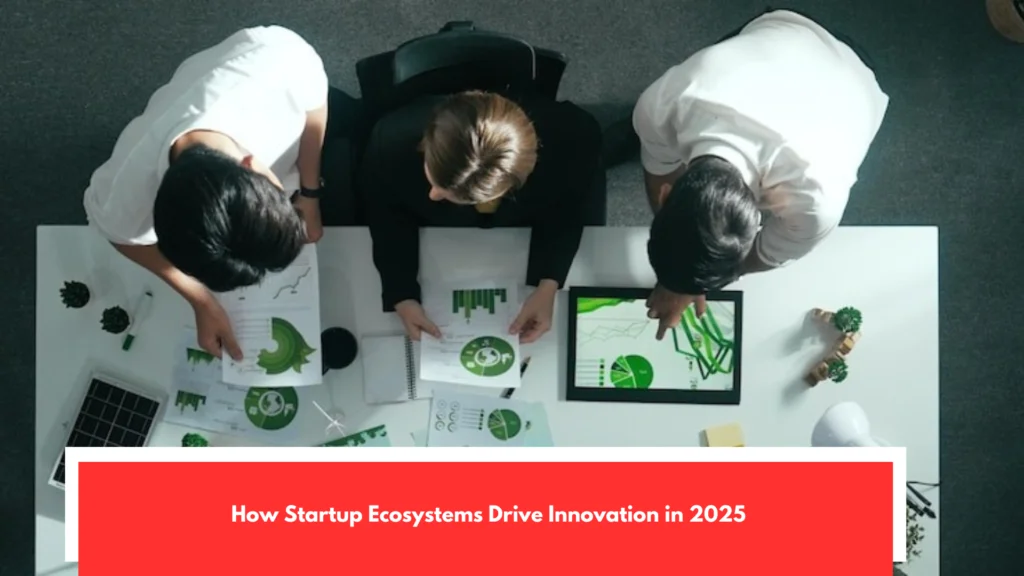 How Startup Ecosystems Drive Innovation in 2025
