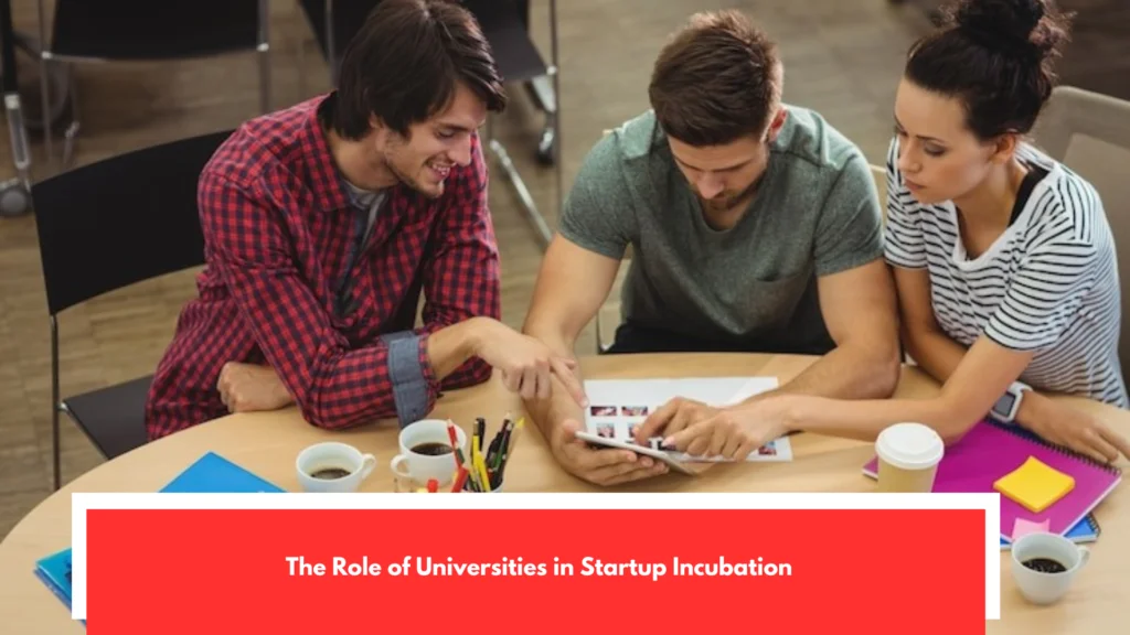 The Role of Universities in Startup Incubation